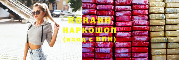 стафф Алексин